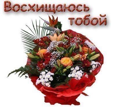 4 1 ~1 JPE[1].jpg�