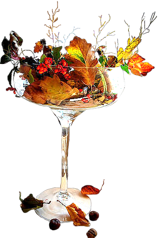 VFL.RU - ��� �����������