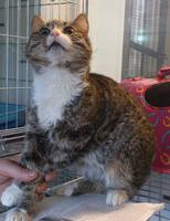 VFL.RU - ваш фотохостинг