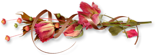 VFL.RU - ��� �����������