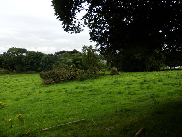 6825557_m.jpg
