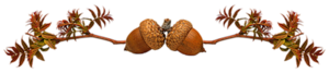 VFL.RU - ��� �����������