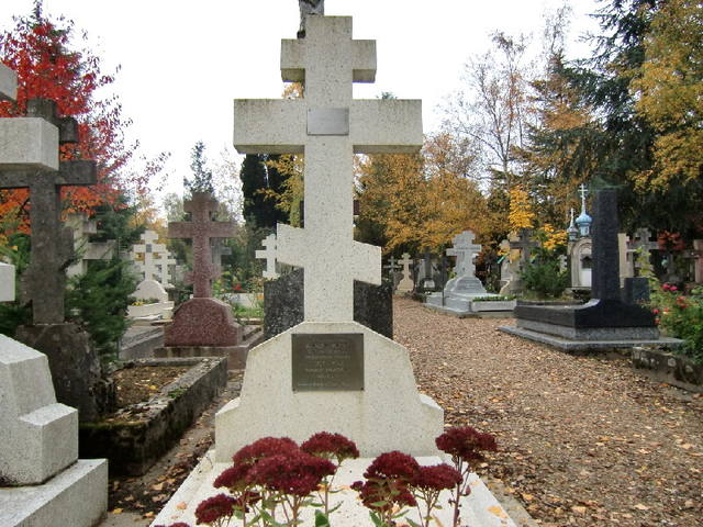 6851601_m.jpg