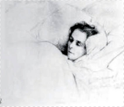 6854479_m.jpg
