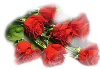 VFL.RU - ��� �����������