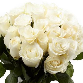 VFL.RU - ��� �����������