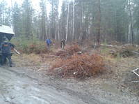 VFL.RU - ваш фотохостинг