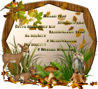 VFL.RU -  