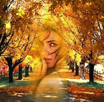 VFL.RU - ��� �����������