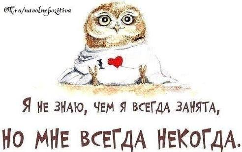 6937134_m.jpg