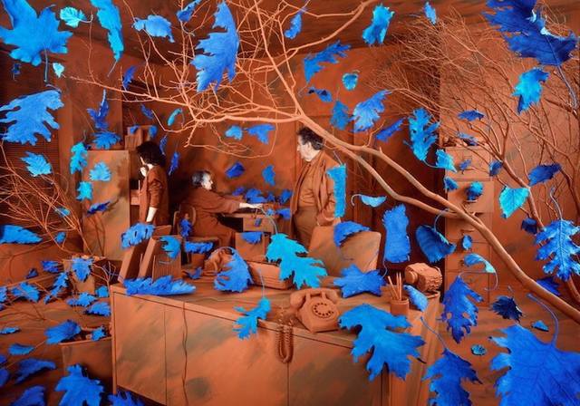 SandySkoglund4