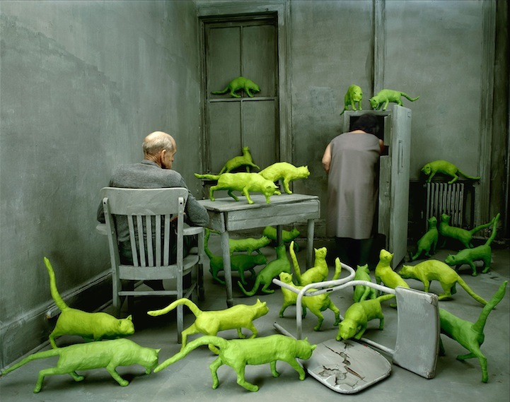 SandySkoglund10