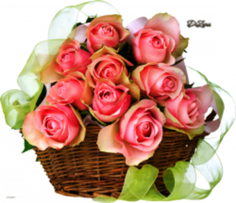 VFL.RU - ��� �����������