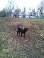 VFL.RU - ваш фотохостинг