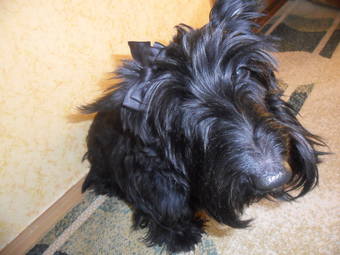 VFL.RU - ��� �����������