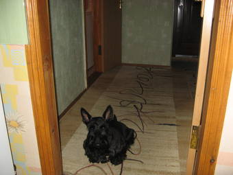 VFL.RU - ��� �����������