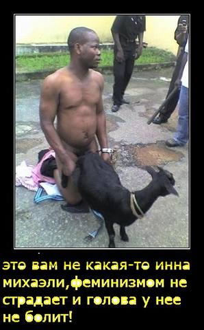 koznev.jpeg