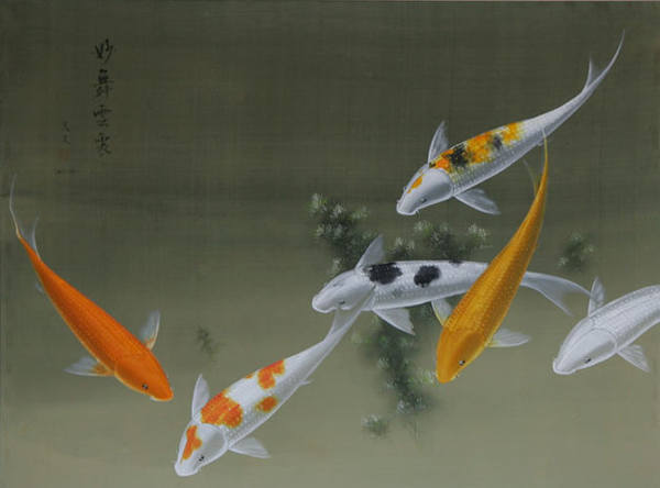 7004301_m.jpg