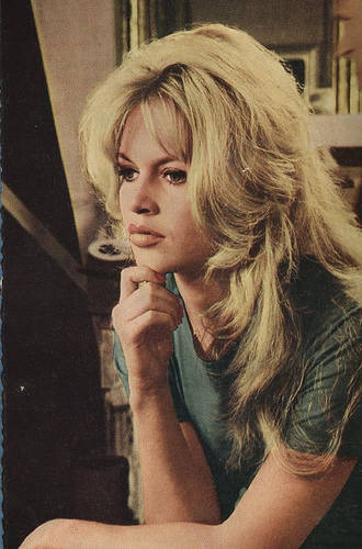 7005316_m.jpg