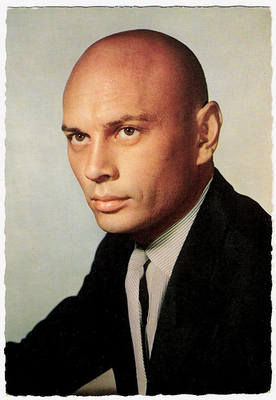 7005367_m.jpg