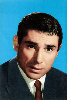 7005371_m.jpg