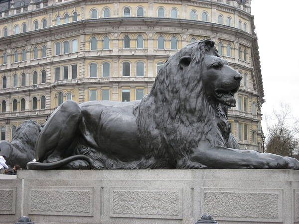 7012986_m.jpg