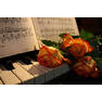 music-card