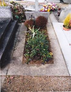 7043962_m.jpg