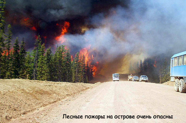 getImageCA6XYZPL