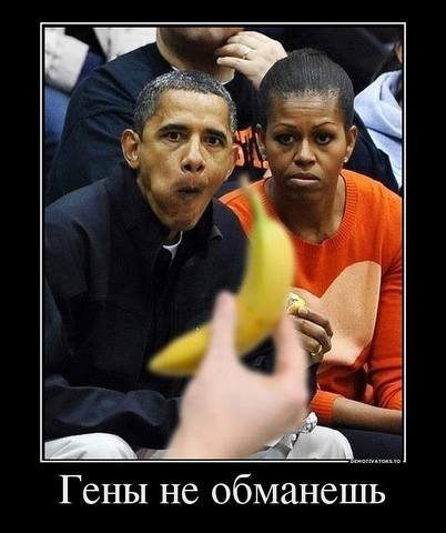 obamba