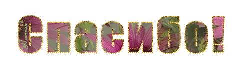 VFL.RU -  