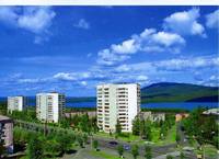 image (3)