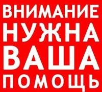 VFL.RU - ваш фотохостинг
