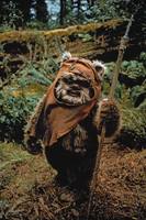 Wicket rotj