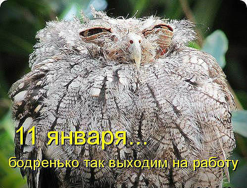 getImage (55)