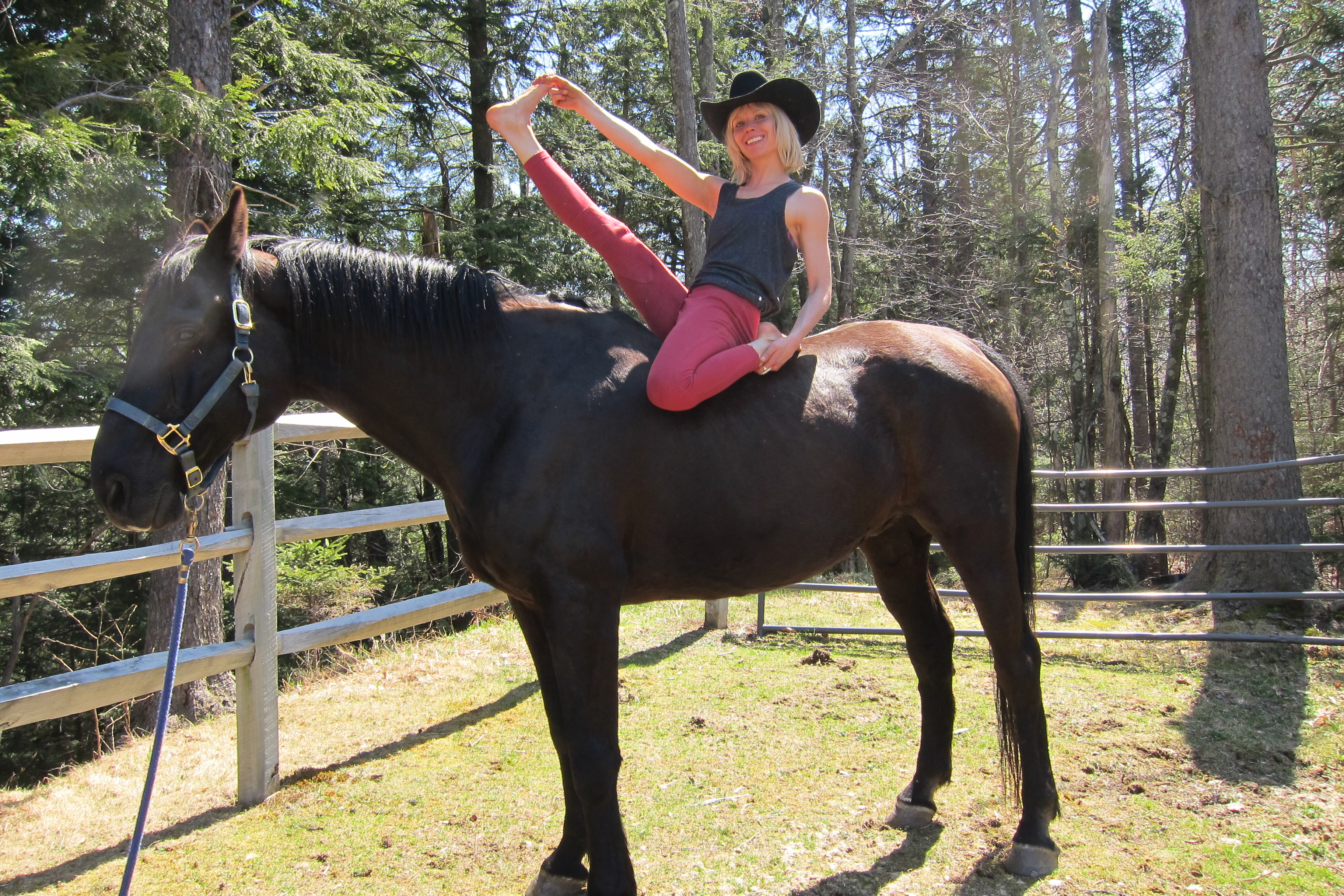 yogahorses-003