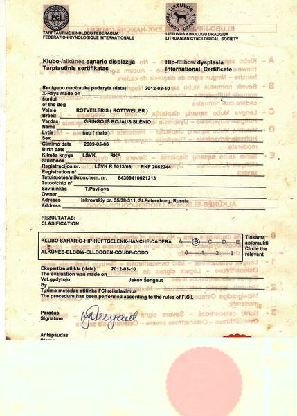 сканирование0016