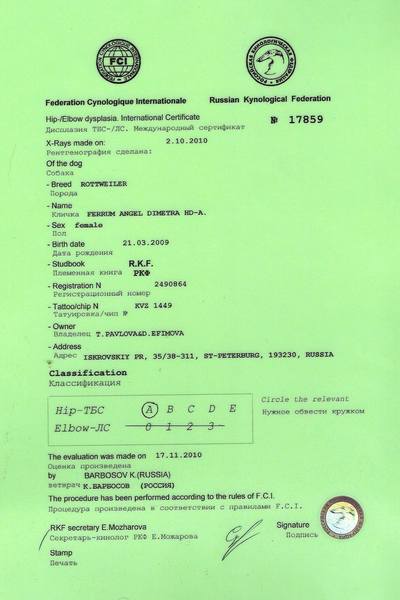 сканирование0001 (2)