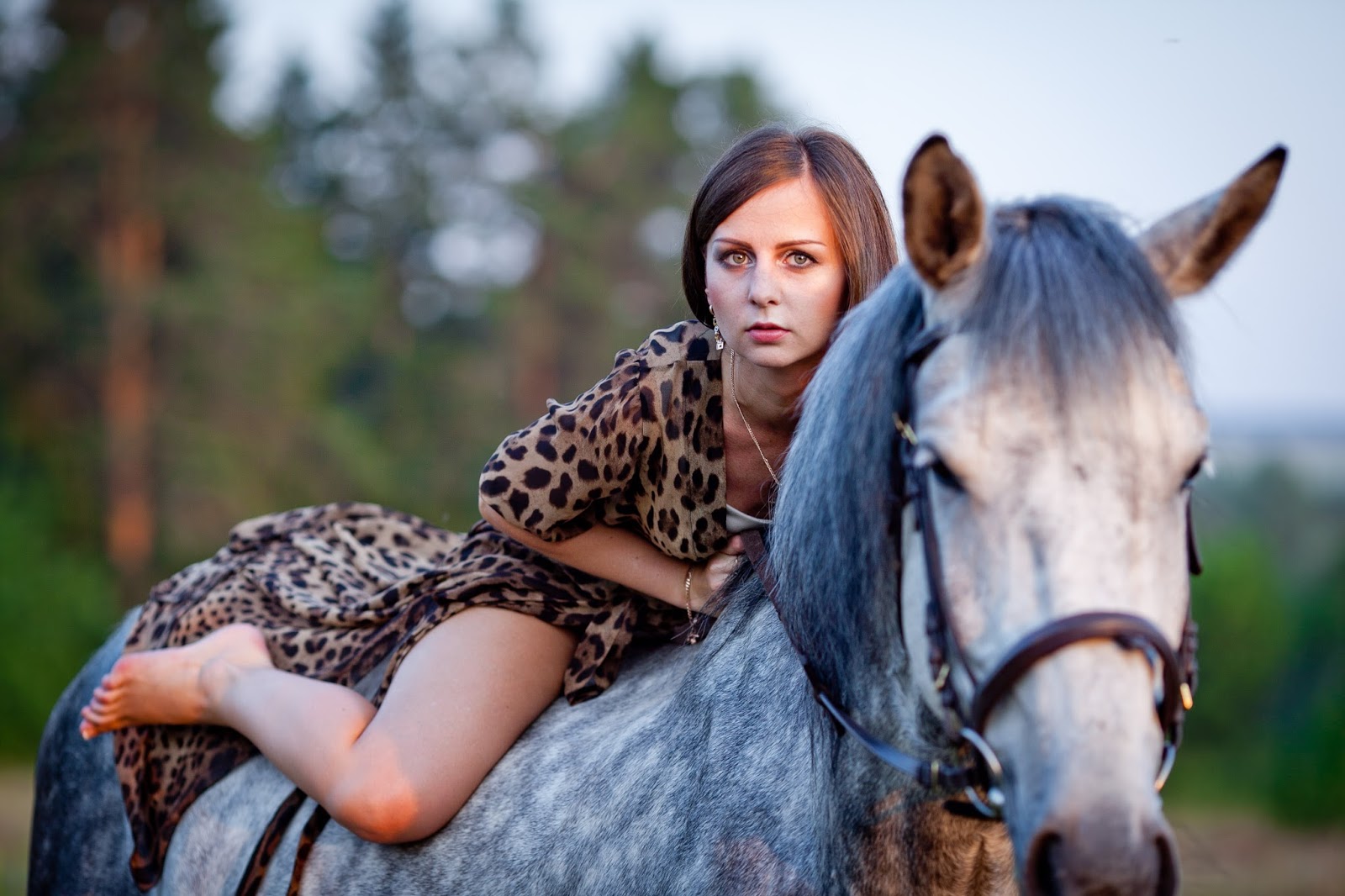 horse IMG 7736