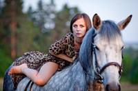 horse IMG 7736