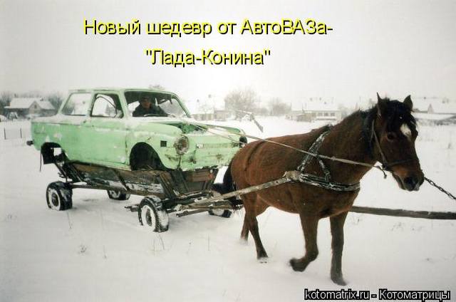 lada horse