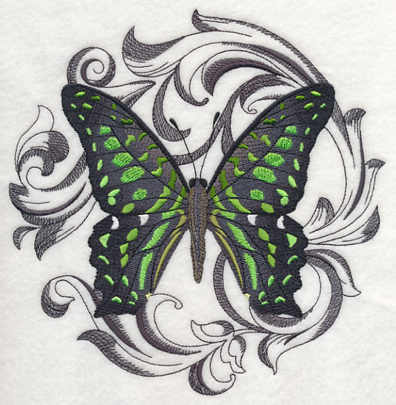 Australian Baroque Butterfly - Green Spotted Triangle