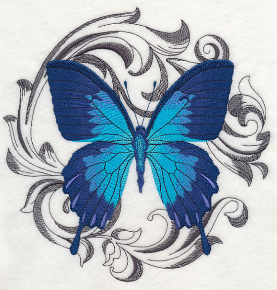 Australian Baroque Butterfly - Ulysses Swallowtail
