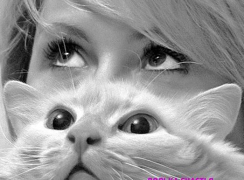 getImage (5)