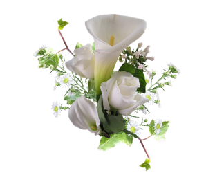 VFL.RU - ��� �����������