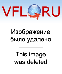 VFL.RU — ваш фотохостинг