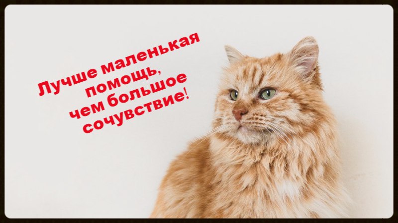 qvYTxKzI5Lw