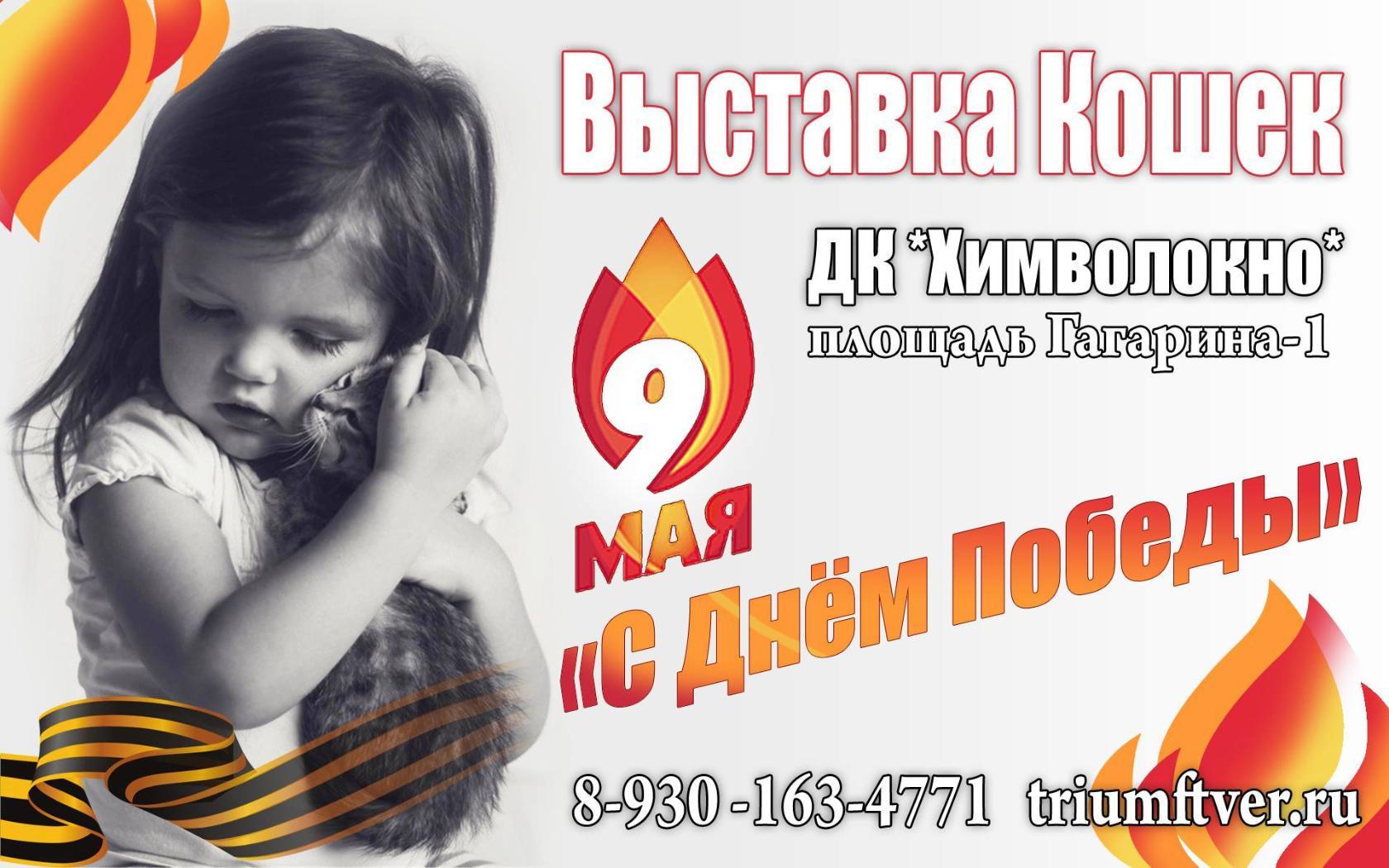 выставка победы