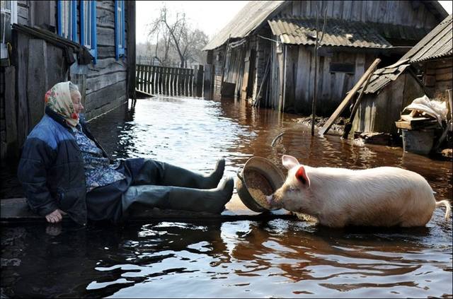 belarus-flooding-001