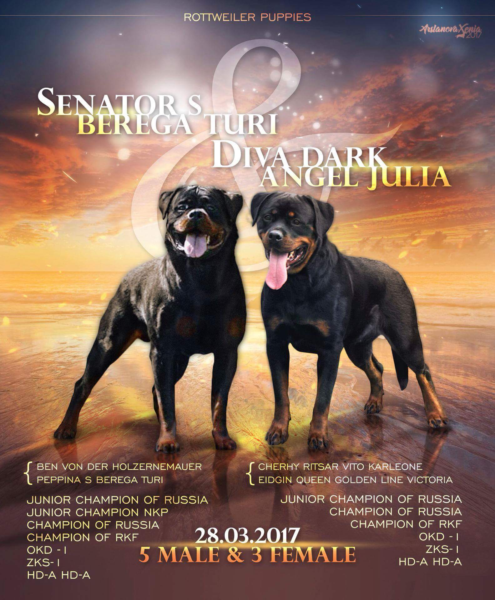 реклама.jpeg